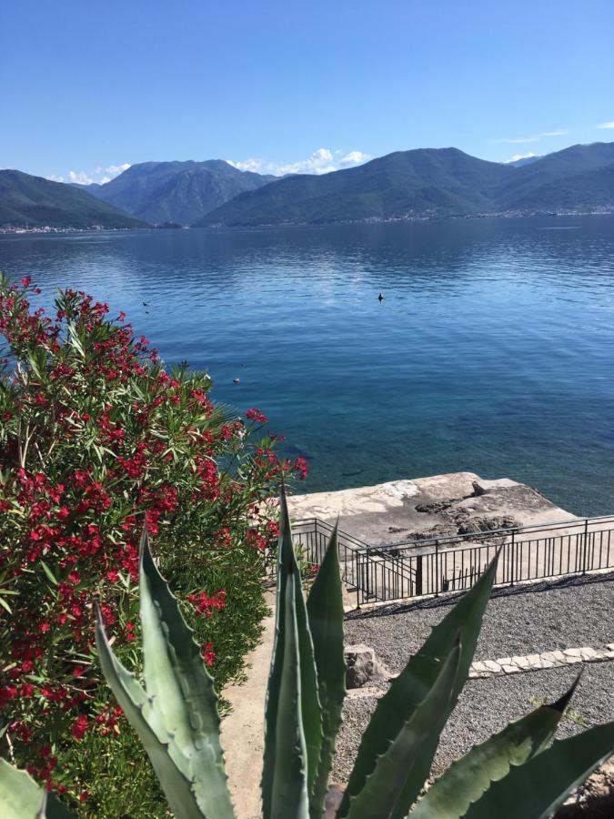 Apartment Tri Kiparisa Tivat Eksteriør bilde